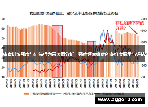 体育训练强度与训练行为雷达图分析:强度频率维度的多维度展示与评估